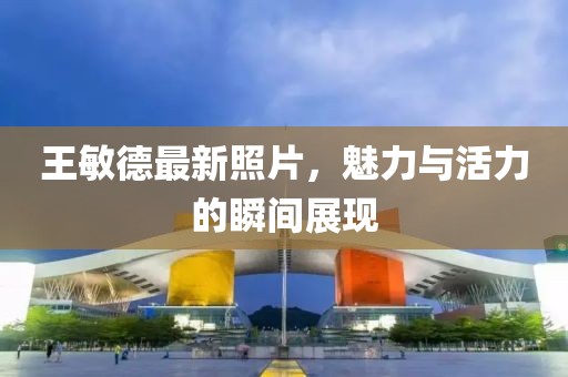 王敏德最新照片，魅力与活力的瞬间展现