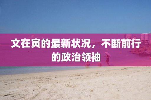 文在寅的最新状况，不断前行的政治领袖