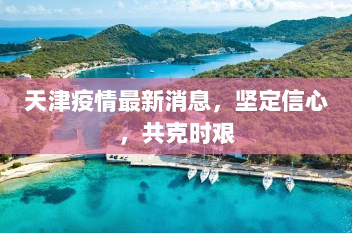 天津疫情最新消息，坚定信心，共克时艰