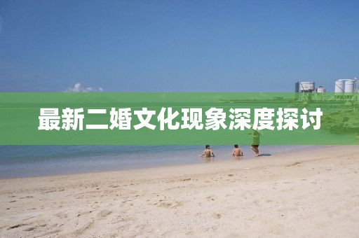最新二婚文化现象深度探讨