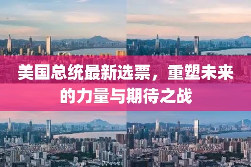 美国总统最新选票，重塑未来的力量与期待之战