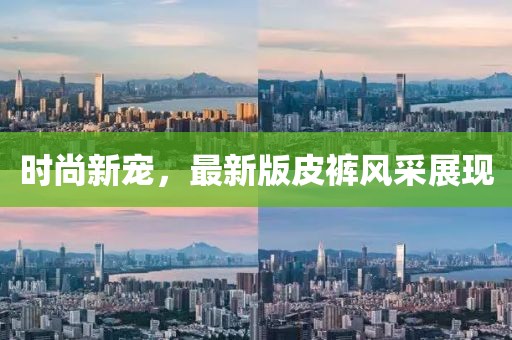 时尚新宠，最新版皮裤风采展现