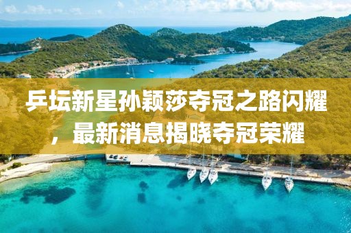 乒坛新星孙颖莎夺冠之路闪耀，最新消息揭晓夺冠荣耀