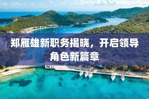 郑雁雄新职务揭晓，开启领导角色新篇章