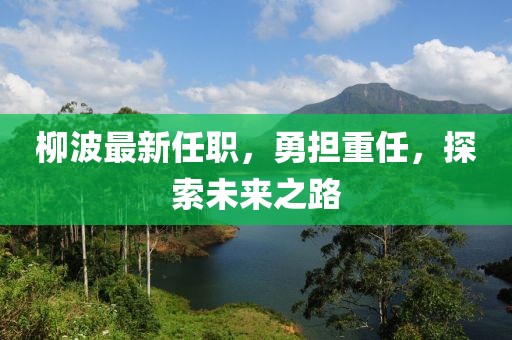 柳波最新任职，勇担重任，探索未来之路
