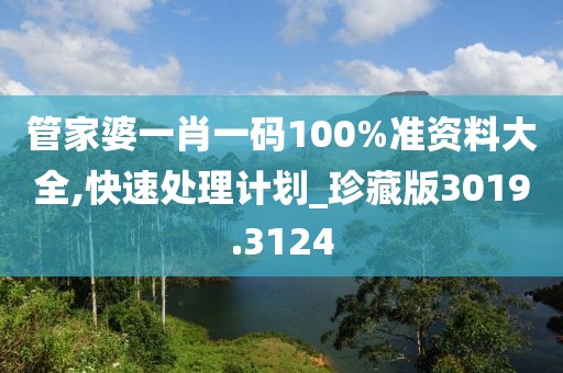 管家婆一肖一码100%准资料大全,快速处理计划_珍藏版3019.3124