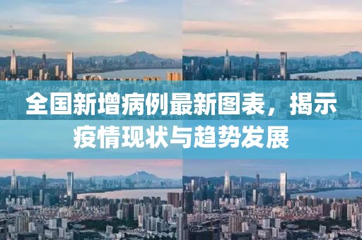 全国新增病例最新图表，揭示疫情现状与趋势发展