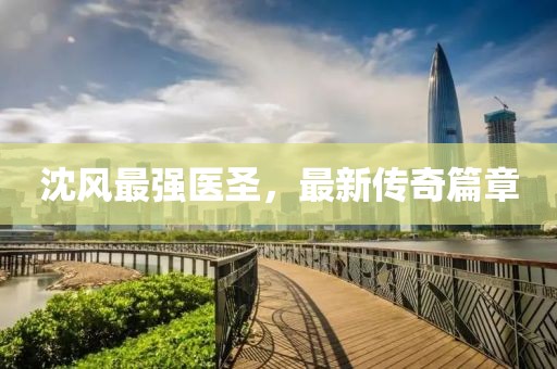 沈风最强医圣，最新传奇篇章