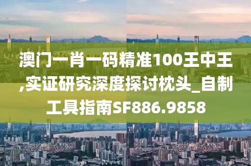 澳门一肖一码精准100王中王,实证研究深度探讨枕头_自制工具指南SF886.9858