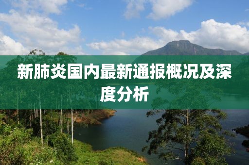 新肺炎国内最新通报概况及深度分析