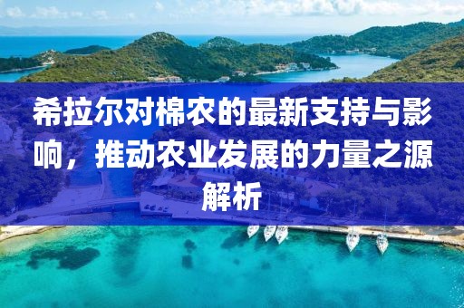 希拉尔对棉农的最新支持与影响，推动农业发展的力量之源解析
