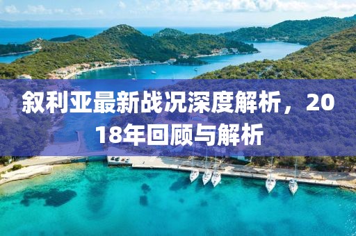 叙利亚最新战况深度解析，2018年回顾与解析