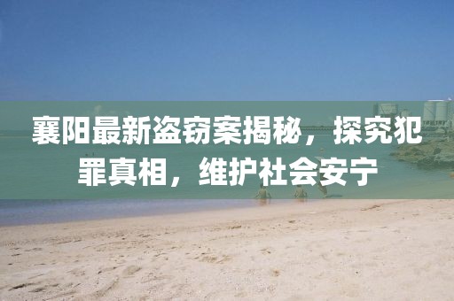 襄阳最新盗窃案揭秘，探究犯罪真相，维护社会安宁