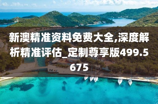 新澳精准资料免费大全,深度解析精准评估_定制尊享版499.5675