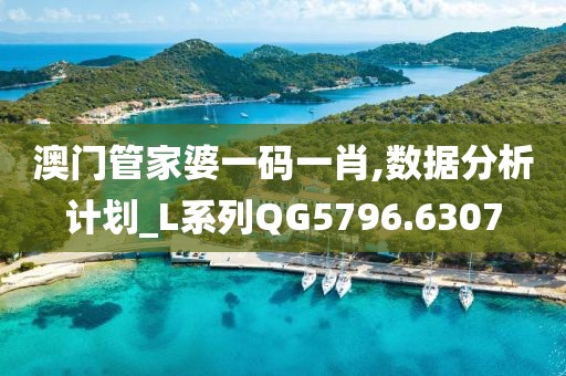 澳门管家婆一码一肖,数据分析计划_L系列QG5796.6307