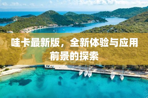 哇卡最新版，全新体验与应用前景的探索