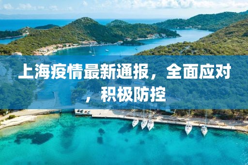 上海疫情最新通报，全面应对，积极防控