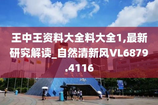 王中王资料大全料大全1,最新研究解读_自然清新风VL6879.4116