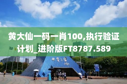 黄大仙一码一肖100,执行验证计划_进阶版FT8787.589