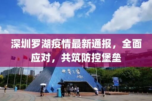 深圳罗湖疫情最新通报，全面应对，共筑防控堡垒