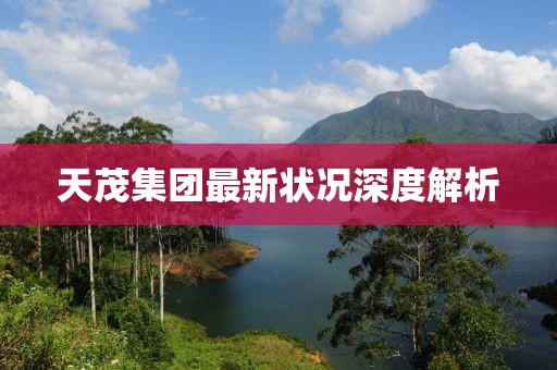 天茂集团最新状况深度解析