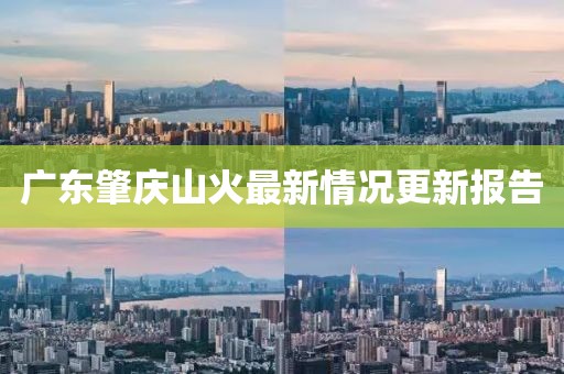 广东肇庆山火最新情况更新报告