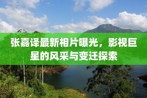张嘉译最新相片曝光，影视巨星的风采与变迁探索