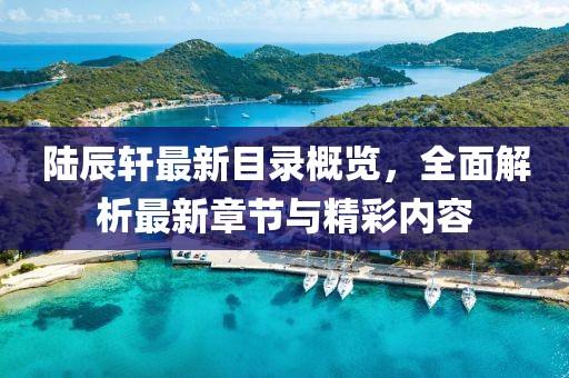 陆辰轩最新目录概览，全面解析最新章节与精彩内容