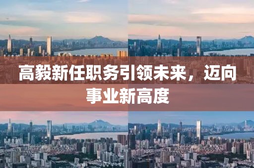 高毅新任职务引领未来，迈向事业新高度