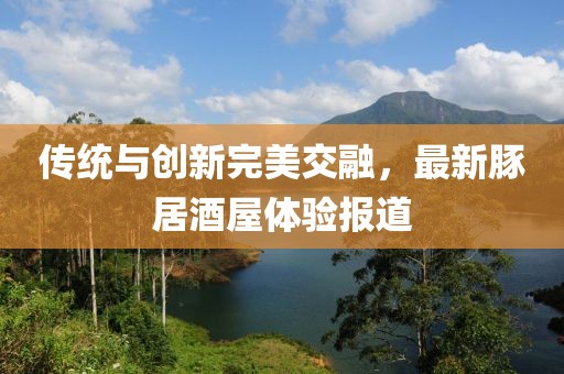 传统与创新完美交融，最新豚居酒屋体验报道