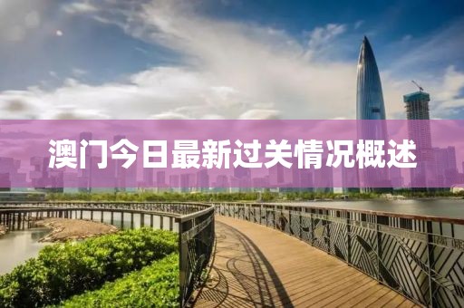 澳门今日最新过关情况概述