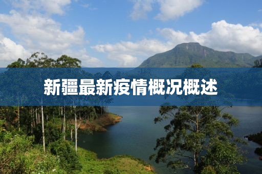 新疆最新疫情概况概述