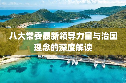 八大常委最新领导力量与治国理念的深度解读