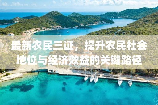 最新农民三证，提升农民社会地位与经济效益的关键路径