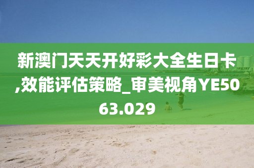 新澳门天天开好彩大全生日卡,效能评估策略_审美视角YE5063.029