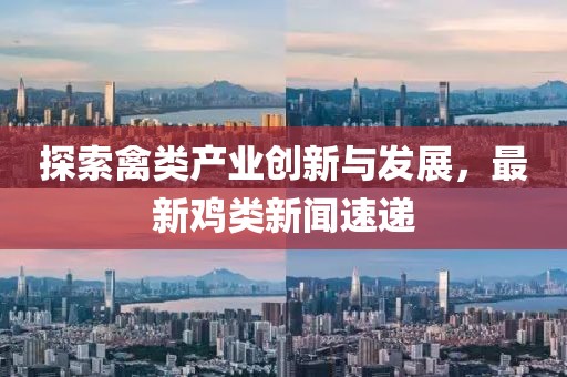 探索禽类产业创新与发展，最新鸡类新闻速递