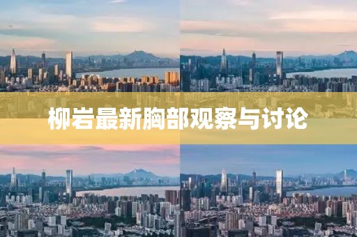 柳岩最新胸部观察与讨论