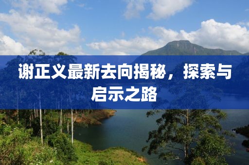 谢正义最新去向揭秘，探索与启示之路