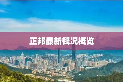 正邦最新概况概览