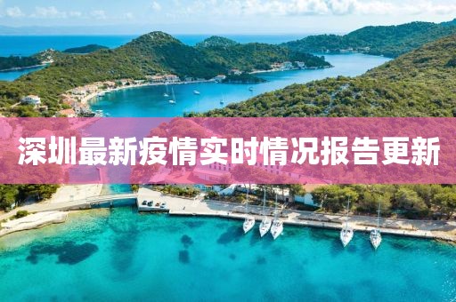 深圳最新疫情实时情况报告更新
