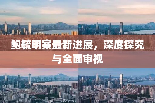 鲍毓明案最新进展，深度探究与全面审视