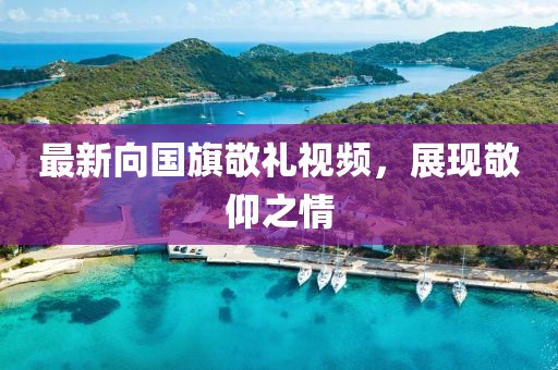 最新向国旗敬礼视频，展现敬仰之情