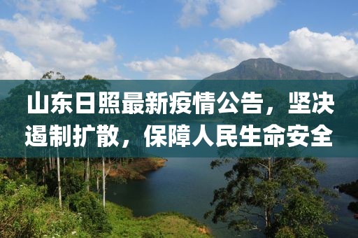 山东日照最新疫情公告，坚决遏制扩散，保障人民生命安全
