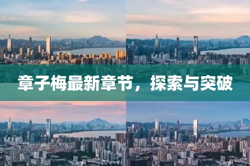 梦想无需 第10页