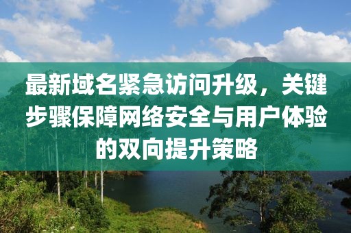 最新域名紧急访问升级，关键步骤保障网络安全与用户体验的双向提升策略