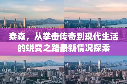 泰森，从拳击传奇到现代生活的蜕变之路最新情况探索