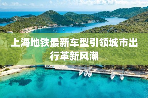 上海地铁最新车型引领城市出行革新风潮