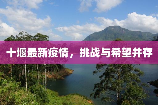 十堰最新疫情，挑战与希望并存