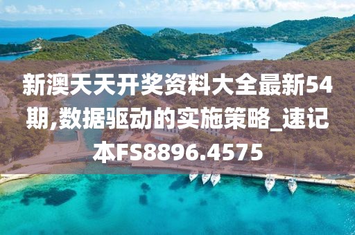 新澳天天开奖资料大全最新54期,数据驱动的实施策略_速记本FS8896.4575