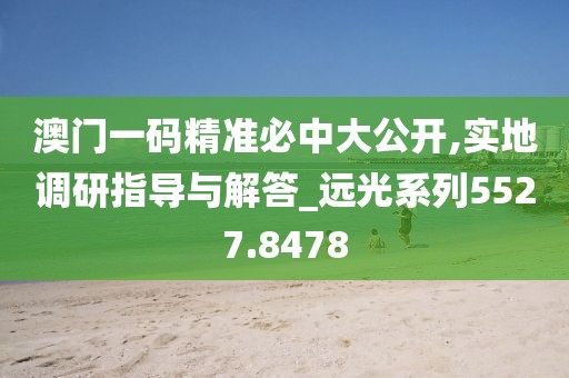 澳门一码精准必中大公开,实地调研指导与解答_远光系列5527.8478